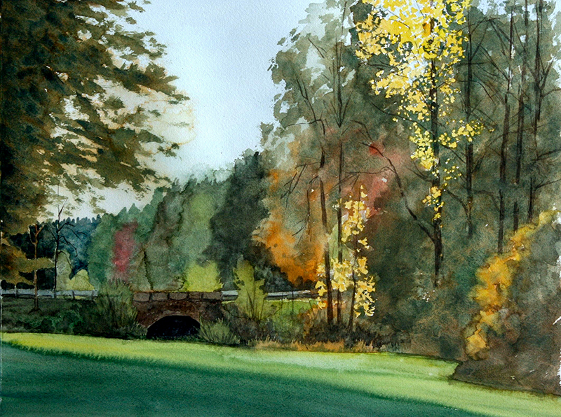 Davorin Manovic, manovic.de, Aquarellmalerei, Stadt Buchen, Odenwald, Buchen im Odenwald, Manovic Maler und Illustrator, Tuschezeichnung, Druck auf Leinwand, Bilderrahmen, Bilder und Rahmen Manovic, Einrahmungswerkstatt, Passepartout, Fine Art Drucke, Großformatdrucker.
