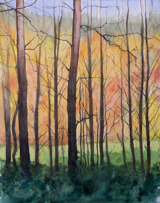 Davorin Manovic, manovic.de, Aquarellmalerei, Stadt Buchen, Odenwald, Buchen im Odenwald, Manovic Maler und Illustrator, Tuschezeichnung, Druck auf Leinwand, Bilderrahmen, Bilder und Rahmen Manovic, Einrahmungswerkstatt, Passepartout, Fine Art Drucke, Großformatdrucker.