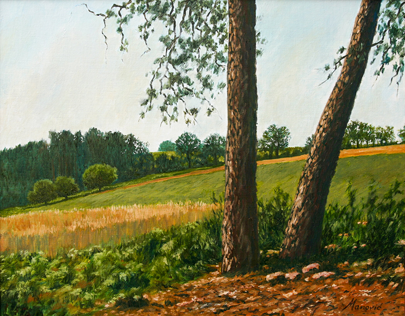 Davorin Manovic, manovic.de, Aquarellmalerei, Stadt Buchen, Odenwald, Buchen im Odenwald, Manovic Maler und Illustrator, Tuschezeichnung, Druck auf Leinwand, Bilderrahmen, Bilder und Rahmen Manovic, Einrahmungswerkstatt, Passepartout, Fine Art Drucke, Großformatdrucker.